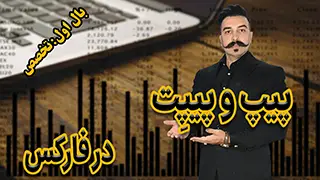 پیپ و پیپت در فارکس